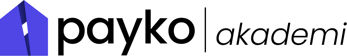 Payko Akademi logo